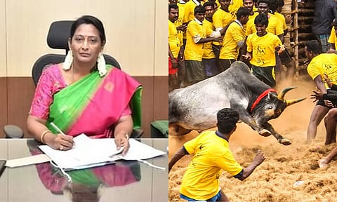 அலங்காநல்லூர் ஜல்லிக்கட்டு அரங்கத்தில் நடைபெறாது: கலெக்டர் அறிவிப்பு