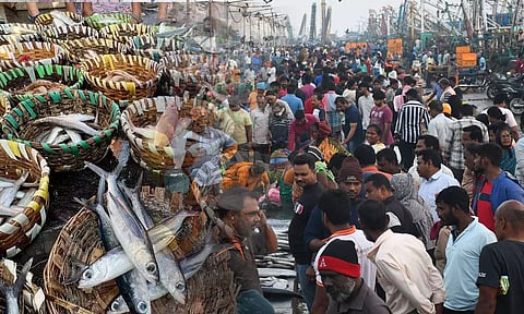 காசிமேடு மீன் மார்க்கெட்டில் கிறிஸ்துமஸ் பண்டிகையையொட்டி விலை அதிகரிக்க வாய்ப்பு