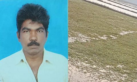 தலைவர் மாணிக்கம். பெரு வெள்ளத்தால் அழிவு நிலையில் கிடக்கும் நெல் நாற்றுகளை படத்தில் காணலாம்.