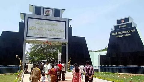 வண்டலூர் பூங்காவில் ஒரே நாளில் 13 ஆயிரம் பேர் குவிந்தனர்