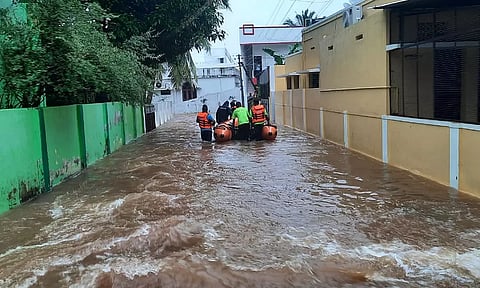 நெல்லையில் வெள்ளத்தின்போது பாம்பு கடித்து ஒருவர் பலி- 14 பேருக்கு சிகிச்சை