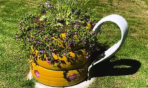 அரசு தாவரவியல் பூங்காவில் தேநீர் கோப்பை வடிவில் மலர் தொட்டிகள்- சுற்றுலா பயணிகள் கண்டு ரசித்தனர்