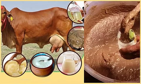 புனிதம் தரும் பஞ்சகவியம்