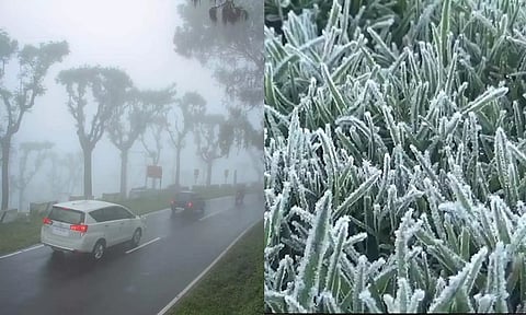 புல்தரைகள் மீது உறைபனி படர்ந்திருப்பதை படத்தில் காணலாம்.