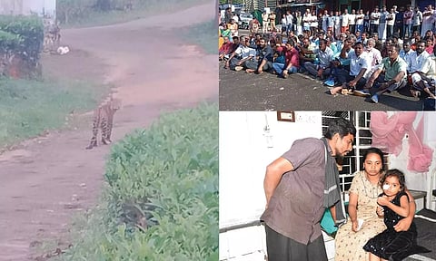 சிறுத்தையால் தாக்கப்பட்ட சிறுமி.