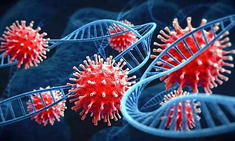 1000-ஐ கடந்த கொரோனா ஜே.என். 1 தொற்று - எந்த மாநிலத்தில் அதிகம் தெரியுமா?