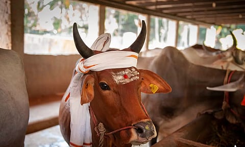 மாட்டுப்பொங்கல் சிறப்புகள்