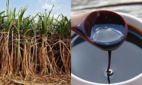 வெல்ல பாகு மீது 50 சதவீத ஏற்றுமதி வரி