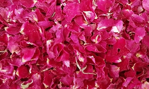 சிவந்த பூக்களால் பூஜிக்க வேண்டும்