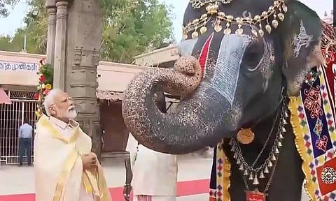 யானையின் மவுத் ஆர்கன் இசைக்கு மயங்கிய பிரதமர் மோடி