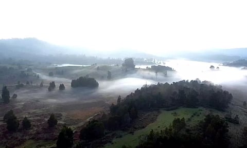 மன்னவனூர் ஏரியில் கடல் அலை போல் தோன்றிய பனி மூட்டத்தை படத்தில் காணலாம்.