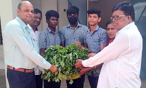 அரசுப் பள்ளியில் இயற்கை தோட்டம் அமைத்து காய்கறிகளை சாகுபடி செய்யும் மாணவர்கள்
