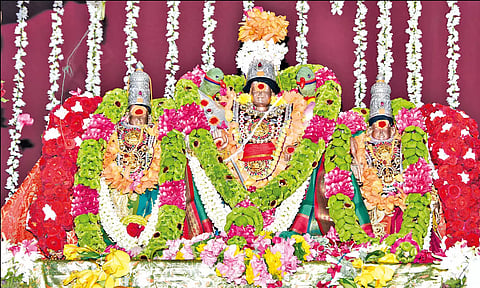 பழனி முத்துக்குமாரசுவாமி, வள்ளி-தெய்வானை திருக்கல்யாணம்