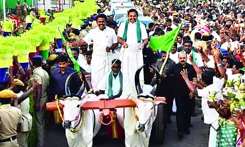 பாராளுமன்ற தேர்தலில் தி.மு.க.வுக்கு மக்கள் பாடம் புகட்ட வேண்டும்- எடப்பாடி பழனிசாமி ஆவேசம்
