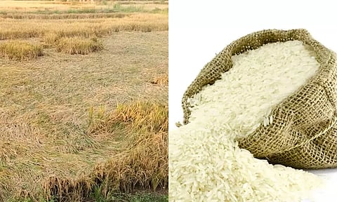 மிச்சாங் புயலால் அரிசி விலை "திடீர்" உயர்வு