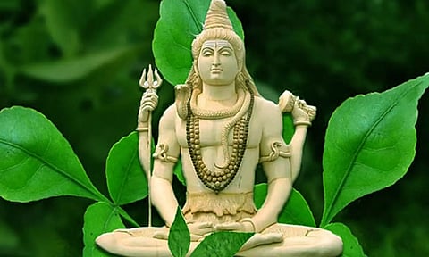 வில்வ இலை மகிமை