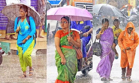 நெல்லை, தூத்துக்குடி, தென்காசி மாவட்டத்தில் இன்று 'திடீர்' மழை