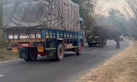 வாகனத்தை வழி மறித்த ஒற்றைகாட்டு யானையால் பரபரப்பு