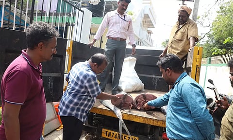 230 கிலோ கெட்டுப்போன மீன்கள் பறிமுதல்- மாநகராட்சி அதிகாரிகள் அதிரடி