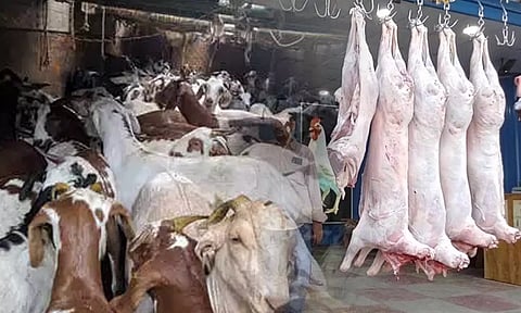 புளியந்தோப்பு இறைச்சி கூடத்துக்கு வெளியே இறந்த ஆடுகளின் கறியை பதப்படுத்தி விற்பனை?