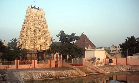 தல விருட்ச பிரதட்சனம்