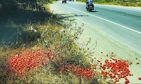 விலை சரிவால் வேதனை: குவியல் குவியலாக தக்காளியை சாலையில் கொட்டிய விவசாயிகள்