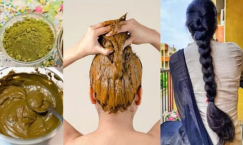 பொடுகு பிரச்சனைக்கு சிறந்த ஹேர் மாஸ்க்