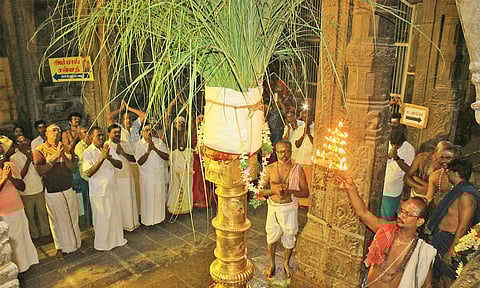 நெல்லையப்பர் கோவிலில் பங்குனி உத்திர திருவிழா கொடியேற்றம்