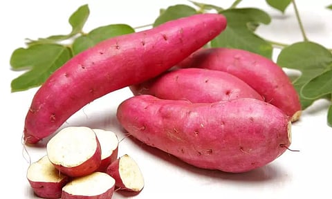 சத்துக்கள் நிறைந்த சர்க்கரை வள்ளிக்கிழங்கு