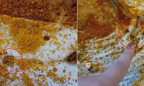 ஓட்டல் தோசையில் கிடந்த 8 கரப்பான் பூச்சிகள்