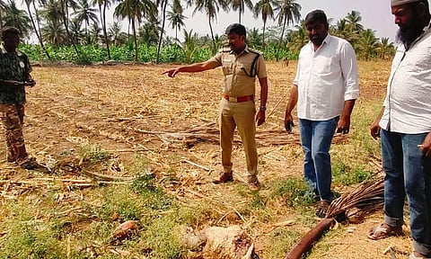 வனத்துறையினர் சிறுத்தையின் கால் தடயங்களை ஆய்வு செய்த காட்சி.