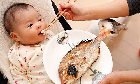 குழந்தைகளுக்கு ஏற்ற அசைவ உணவுகள்…!