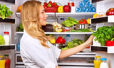 ஃபிரிட்ஜ் பராமரிப்பு மற்றும் பயன்படுத்தும் முறைகள்