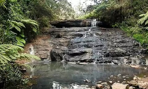 கொடைக்கானலில் வெயிலின் தாக்கம் அதிகரிப்பால் வறண்டு வரும் நீர்வீழ்ச்சிகள்