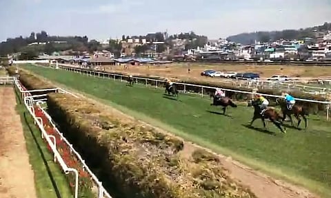 ஊட்டியில் குதிரை பந்தயம் தொடங்கியது: 500-க்கும் மேற்பட்ட குதிரைகள் பங்கேற்பு