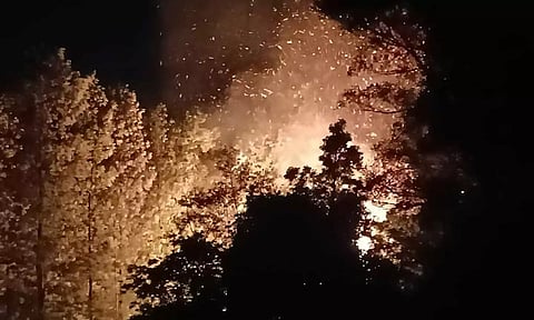 ஏற்காடு சேர்வராயன் குகை கோவில் அருகே வனப்பகுதியில் பயங்கர காட்டுதீ