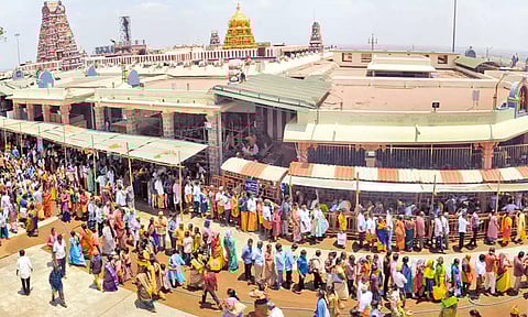 தமிழ் புத்தாண்டையொட்டி பழனி முருகன் கோவிலில் குவிந்த பக்தர்கள்