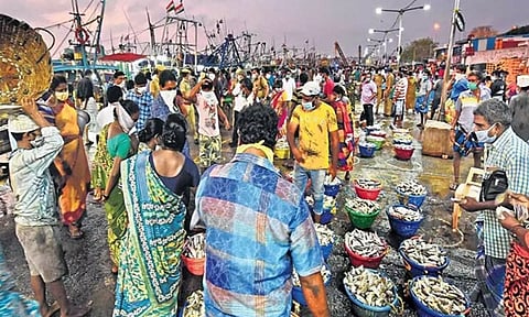 மீன்பிடி தடைகாலம் அமலில் இருப்பதால் காசிமேடு மார்க்கெட்டில் மீன் வரத்து குறைந்தது