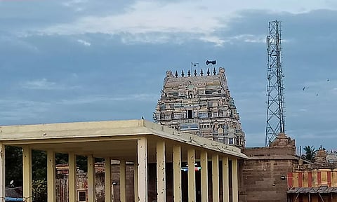 யோகம் தரும் திட்டை குரு !