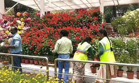 மலர் கண்காட்சிக்கு தயாராகும் ஊட்டி தாவரவியல் பூங்கா