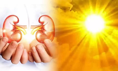 கோடை வெயில் கொளுத்துவதால் சிறுநீர்பாதை தொற்று அதிகரிக்கிறது- டாக்டர்கள் எச்சரிக்கை