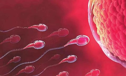 ஆண்களின் விந்தணு உற்பத்திக்கும் கைகண்ட மருந்து இது....