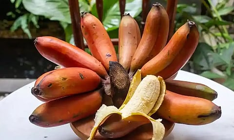 செவ்வாழை பழத்தை எப்போது சாப்பிட வேண்டும்?