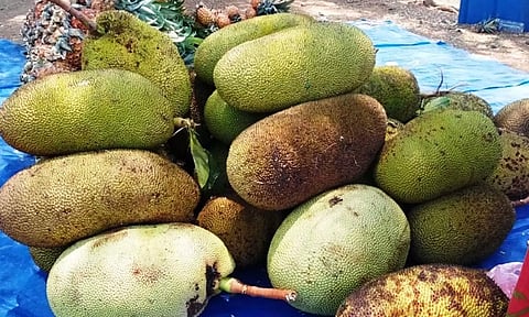 சேலம் மாவட்டத்தில் பண்ருட்டி பலாப்பழம் விலை 2 மடங்காக உயர்வு