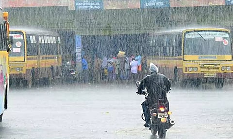 கத்திரி வெயிலை விரட்டிய கோடை மழையால் விவசாயிகள் மகிழ்ச்சி