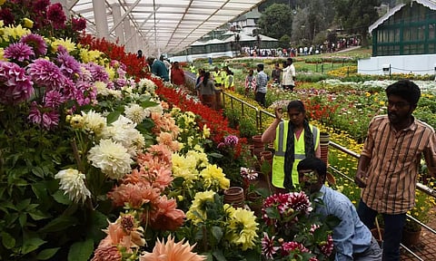 ஊட்டியில் மலர் கண்காட்சி நாளை தொடக்கம்: சுற்றுலாபயணிகளை கவரும் வகையில் ஏற்பாடுகள் தீவிரம்