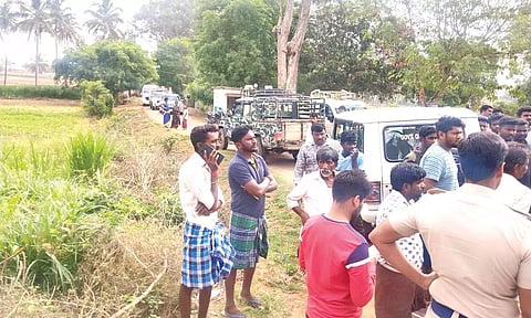 தேன்கனிக்கோட்டை அருகே யானை தாக்கி விவசாயி படுகாயம்