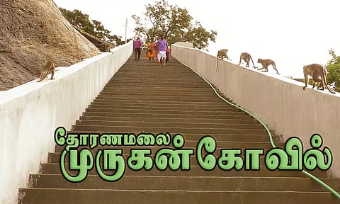 முதல் படி எடுத்து வைத்தால் போதும் ! உச்சிவரை அழைத்து செல்வான் முருகன்!