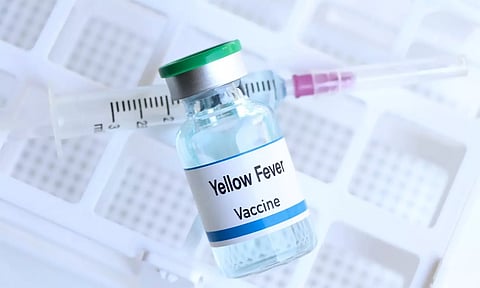 வெளிநாடு செல்பவர்கள் மஞ்சள் காய்ச்சல் தடுப்பூசி போட சுகாதாரத்துறை அறிவுறுத்தல்