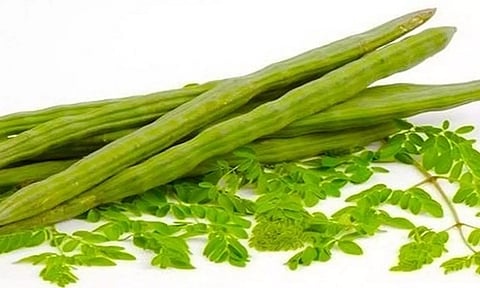 வெப்ப அலையால் முருங்கைக்காய் விளைச்சல் பாதியாக சரிவு